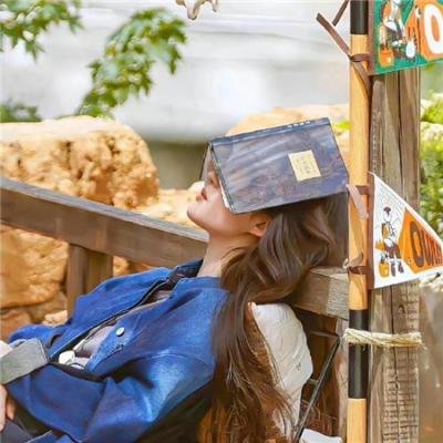 熊猫计划